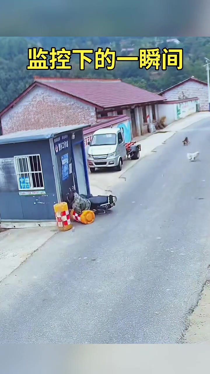 遇到这种事情能让狗主人来赔吗还是只能自认倒霉