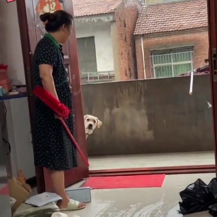 对方撤回一个狗头！！！