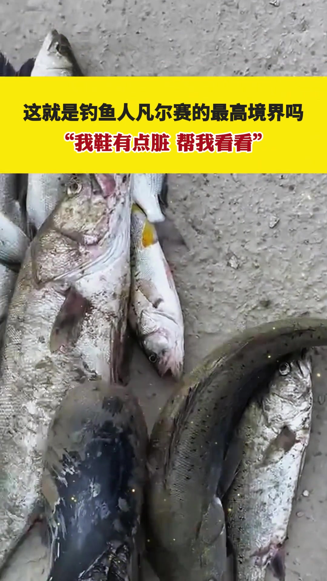 这就是钓鱼人凡尔赛的最高境界吗