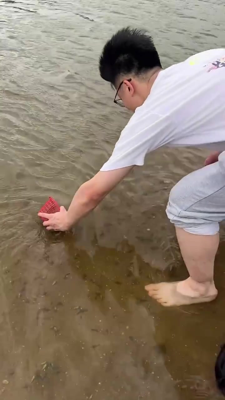 一网下去就可以收工了，还要什么自行车