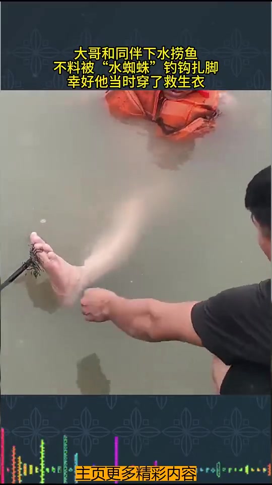 大哥和同伴下水捞鱼，不料被“水蜘蛛”钓钩扎脚，幸好穿了救生衣