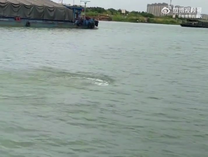 水鬼借我玩两天