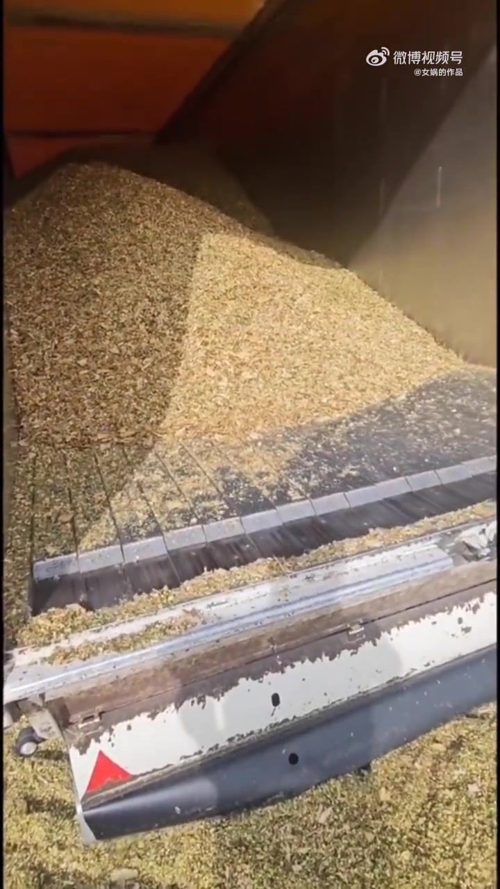 这不是我玩的推币机吗