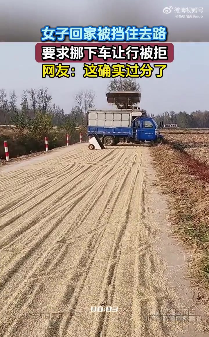 女子回家被挡住去路，要求挪下车让行被拒，网友：这确实过分了