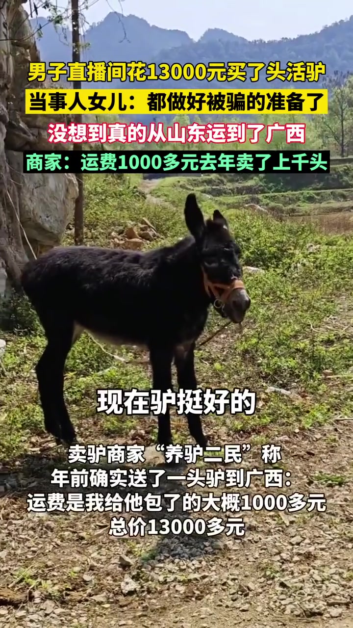 想买匹马，但家里没有草原