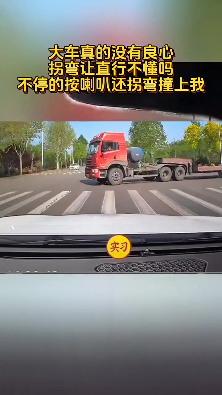 这司机也是够耿直的了，这情况你自己退一退啊！自己命比什么都大