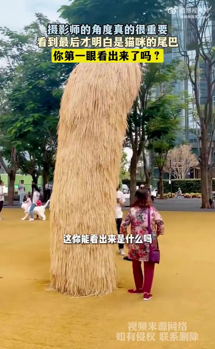 摄影师的角度真的很重要，看到最后才明白是猫咪的尾巴