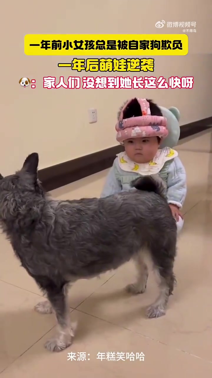 今时不同往日，小女孩的逆袭