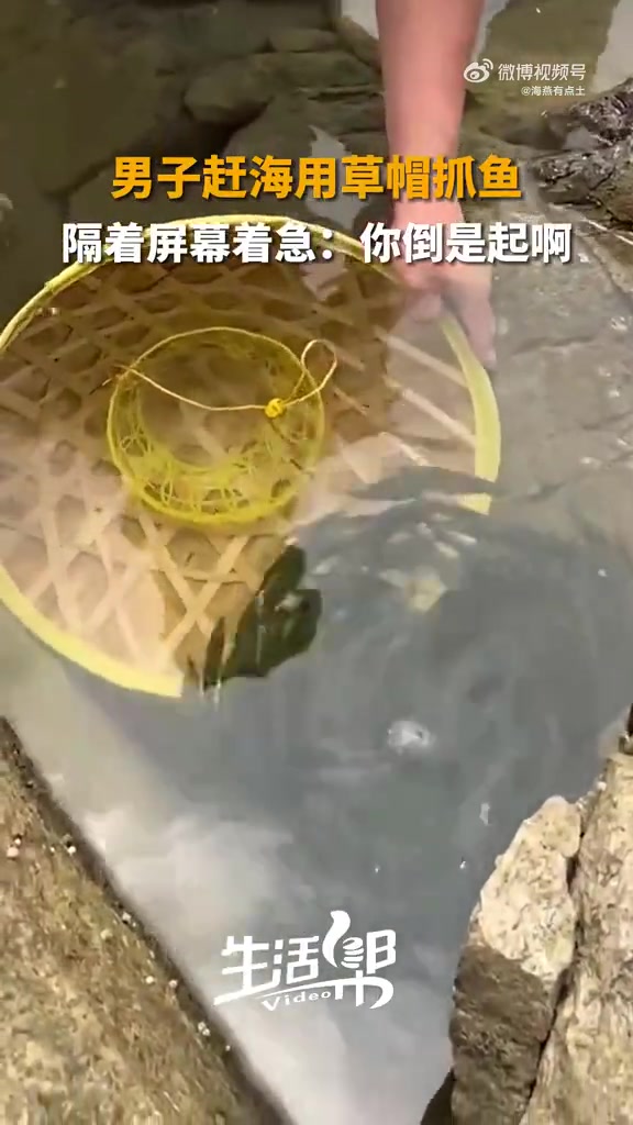 男子赶海用草帽抓鱼，隔着屏幕着急：你倒是起啊