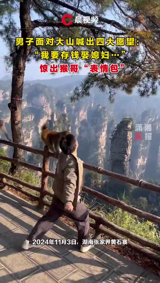 惊出猴哥“表情包”！
