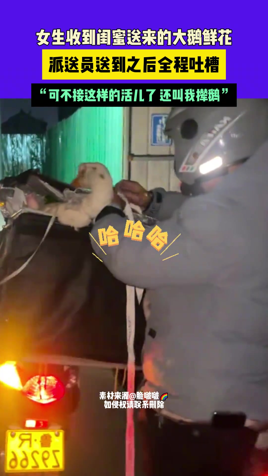 派送员送到之后全程吐槽，“可不接这样的活儿了还叫我撵鹅”