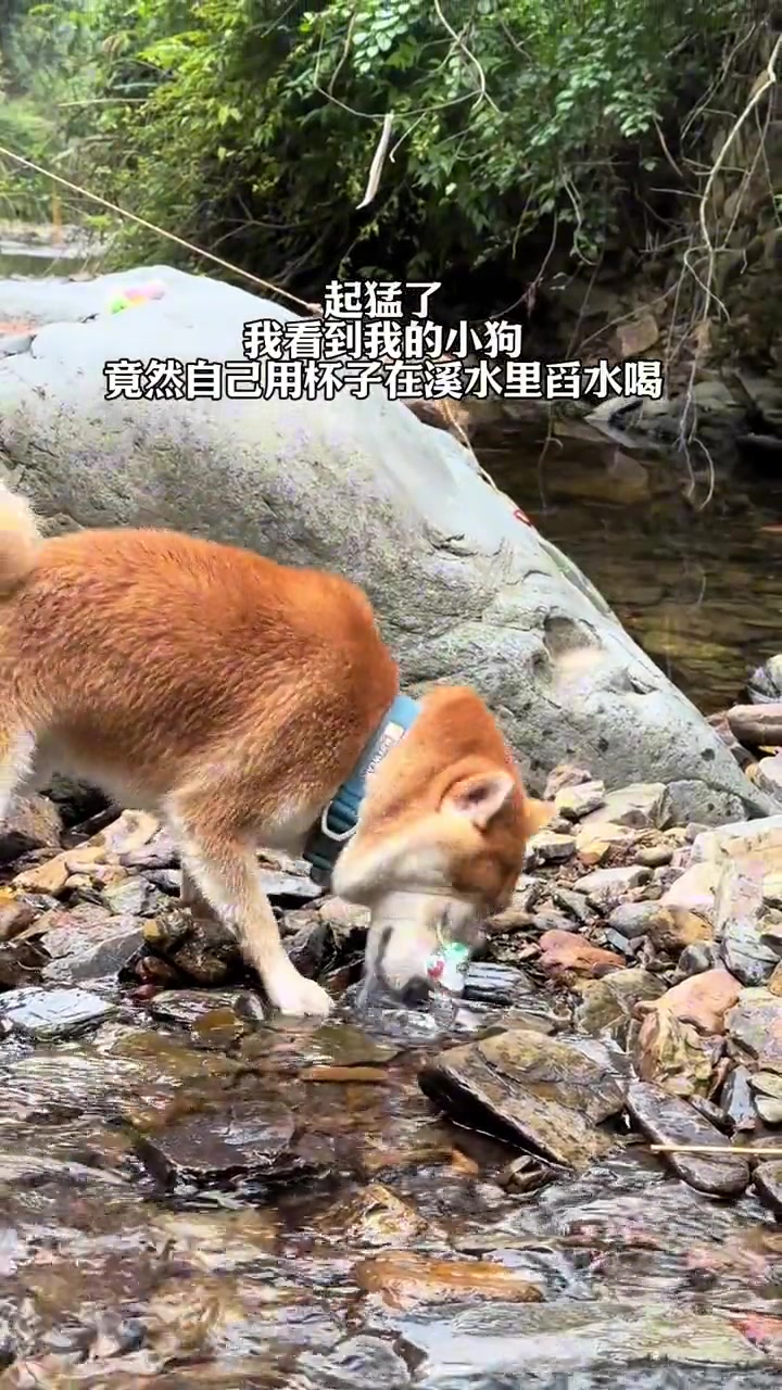 介不你们说的生活要有仪式感嘛