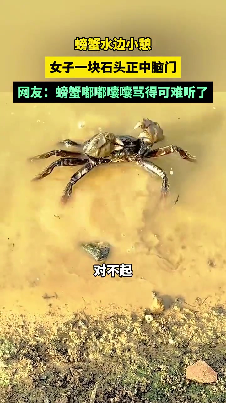 这家伙骂你骂的都冒沫子了