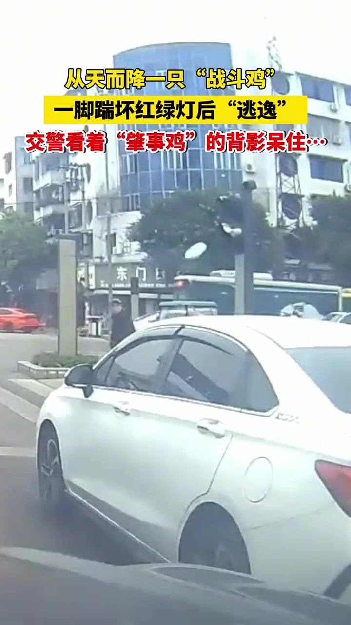 务必请它喝开水，热辣滚烫的