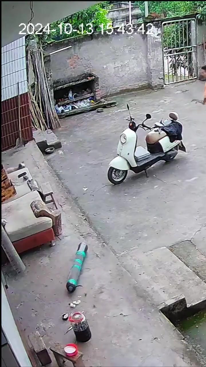 狗子莫名其妙挨了一发