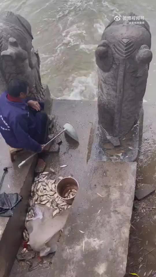 古有守株待兔，今有守道等鱼