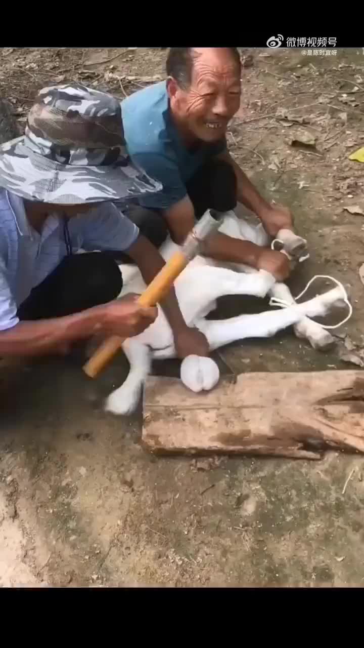 一个观看就能感觉到疼痛的视频
