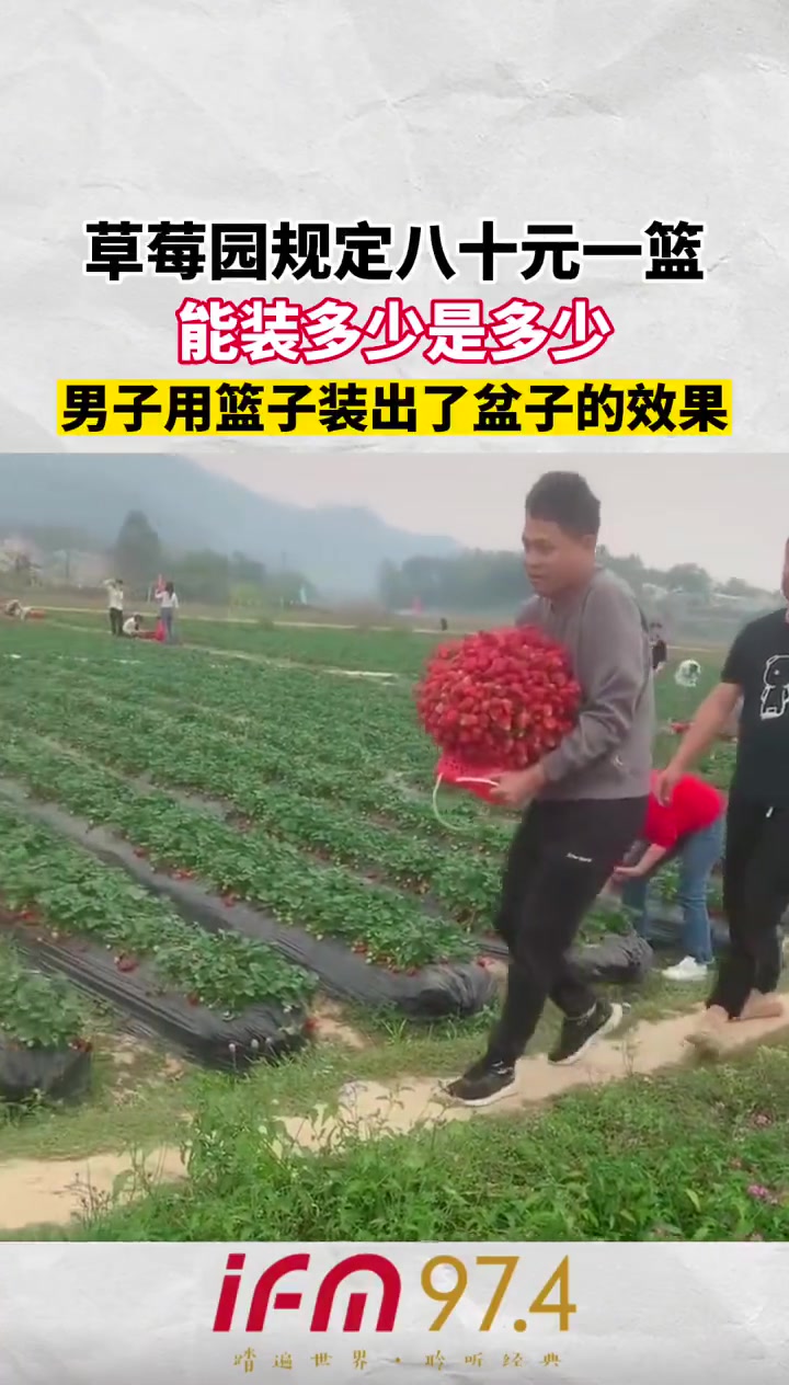 草莓园规定八十元一篮能装多少是多少男子用篮子装出了盆子的效果