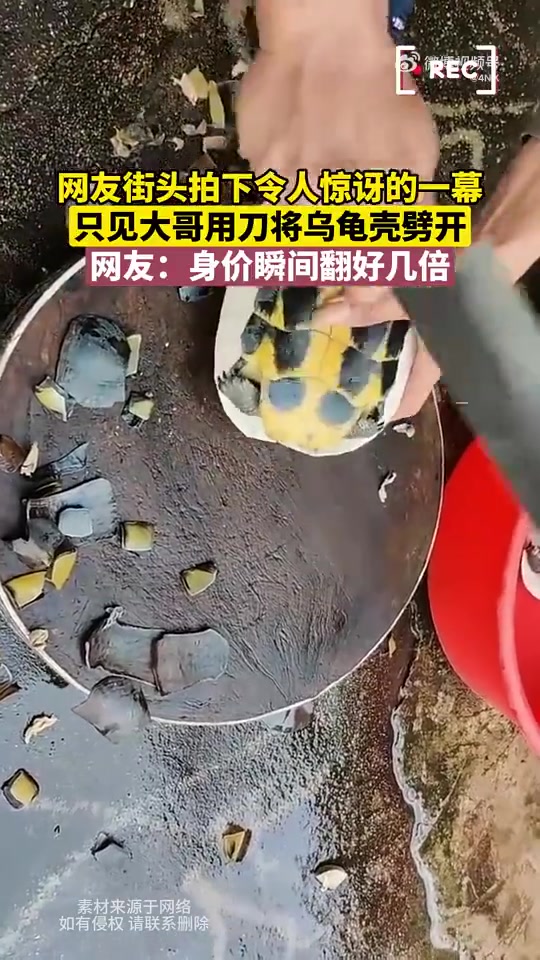 网友街头拍下令人惊讶的一幕，只见大哥用刀将乌龟壳劈开