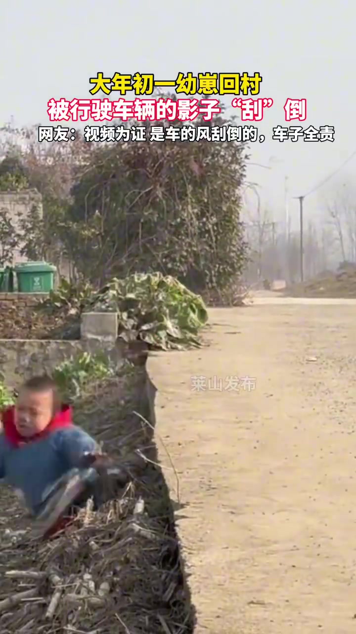 幼崽回村被行驶车辆的影子“刮”倒