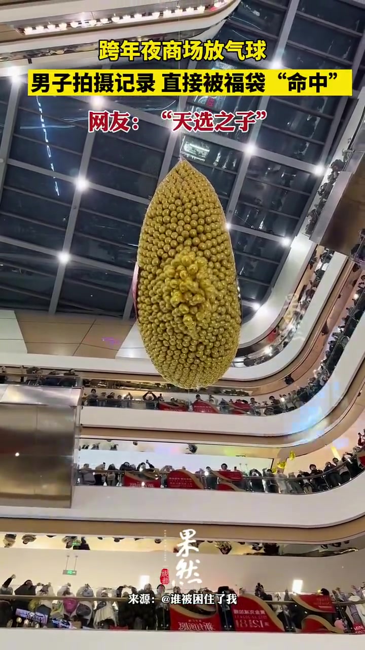 天选之子会是谁呢