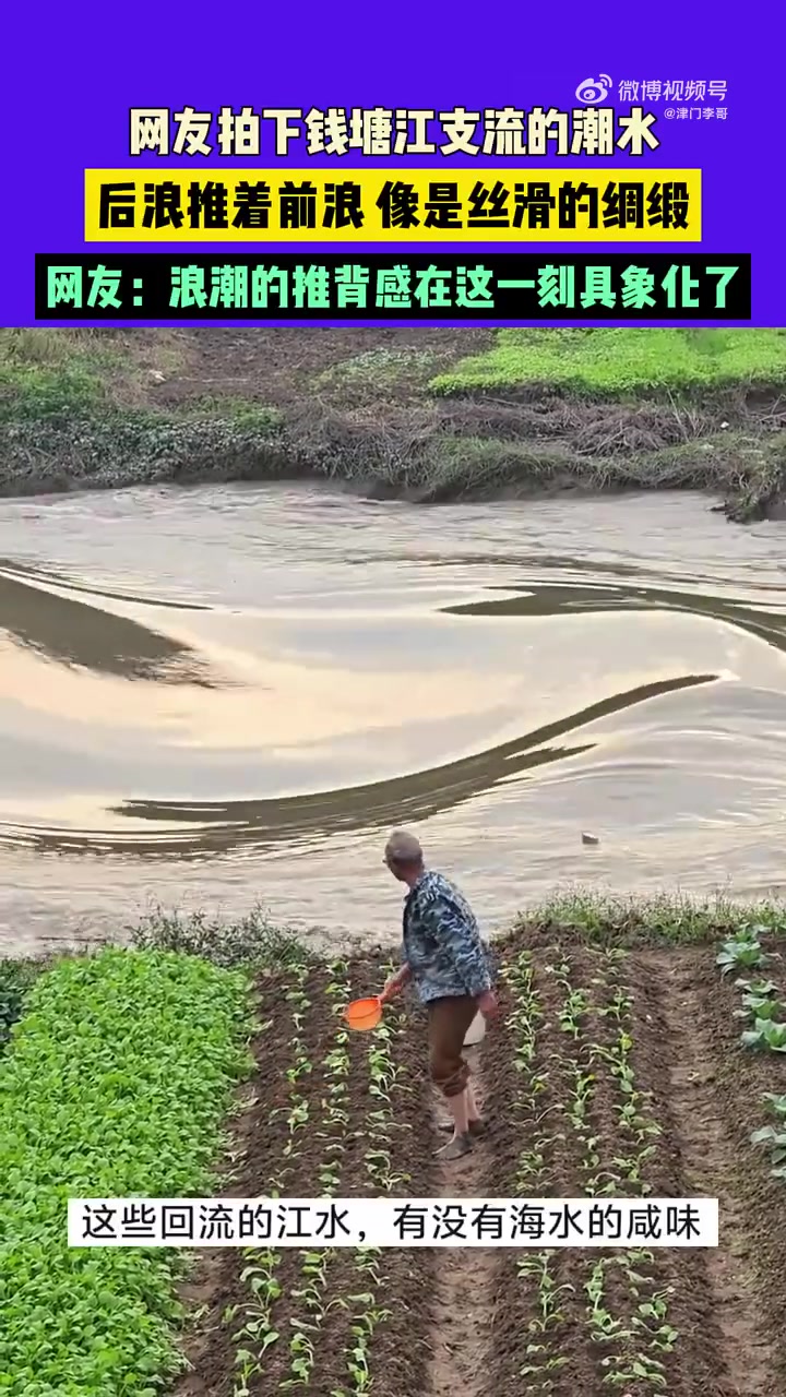 网友拍下钱塘江支流的潮水，后浪推着前浪，像是丝滑的绸缎