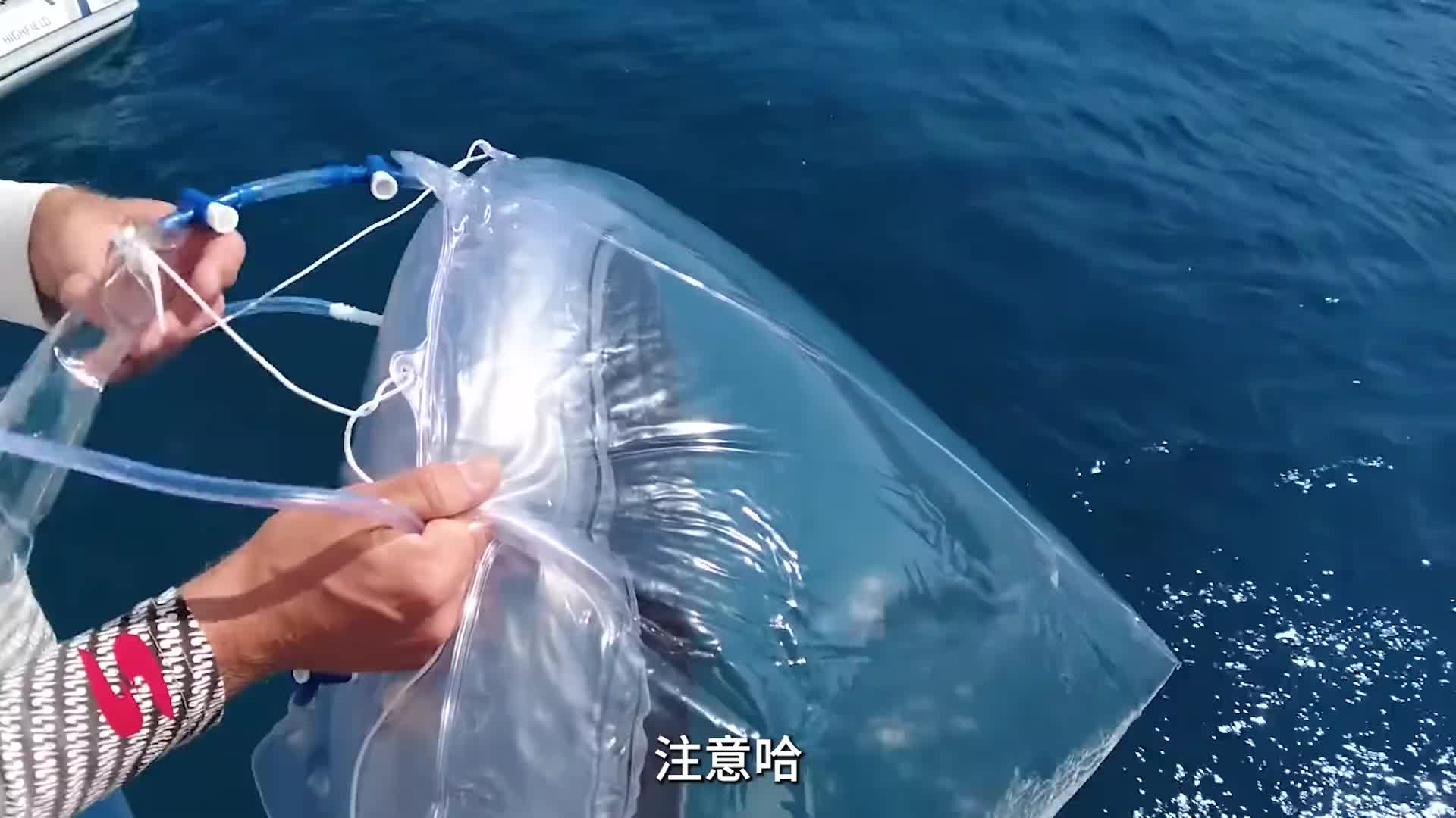 流落荒岛求生必备技能，盘点海水蒸馏淡水简易方法！