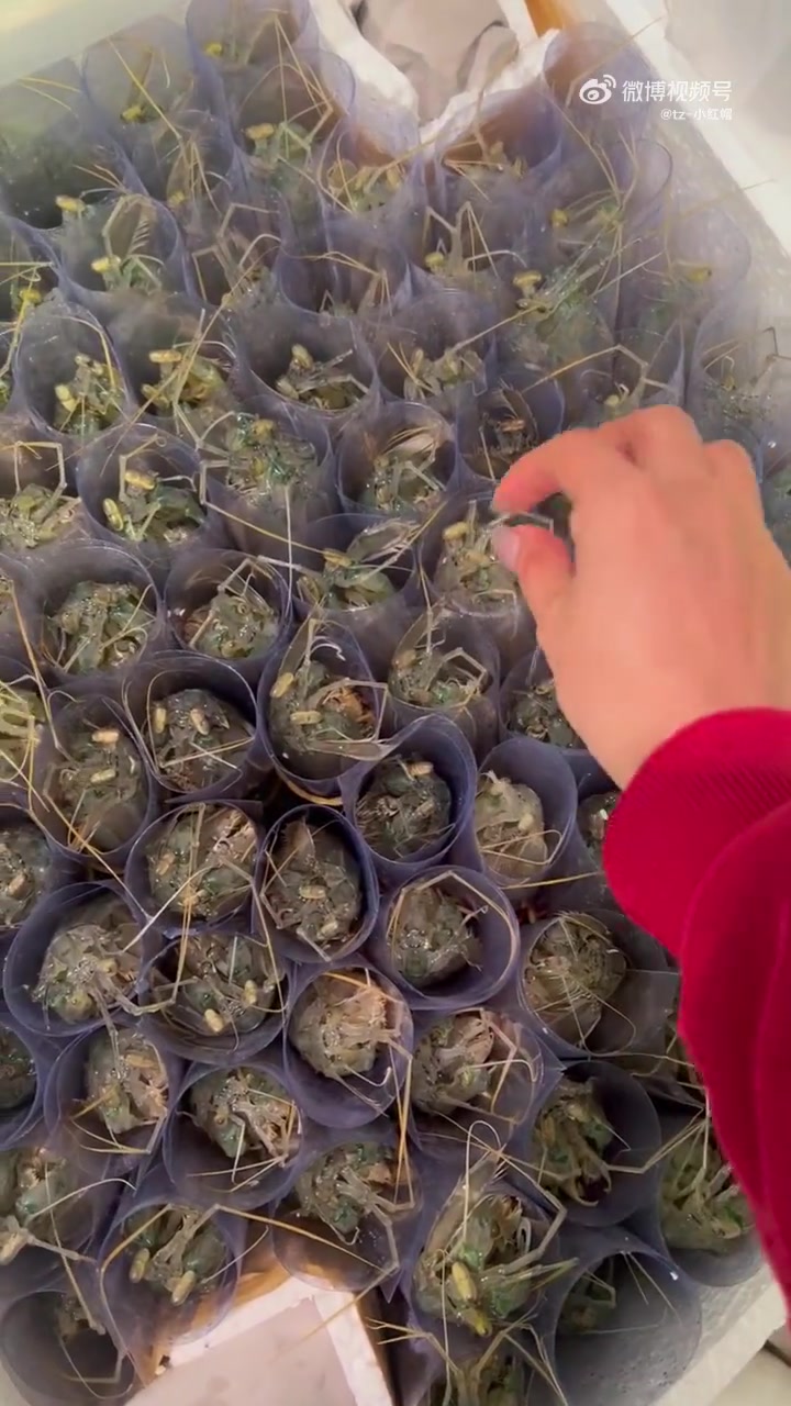 泰国懒尿虾，皮皮虾：那么多虾你就专挑我，轻点拿！