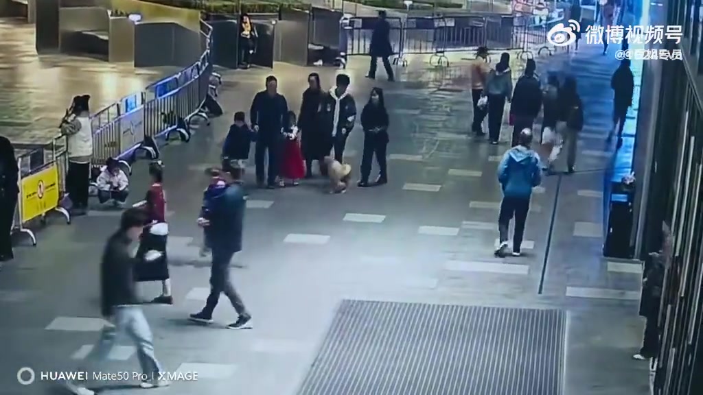 网友吐槽：宠物狗无缘无故上来咬人，如果我在场，绝对当场打死！