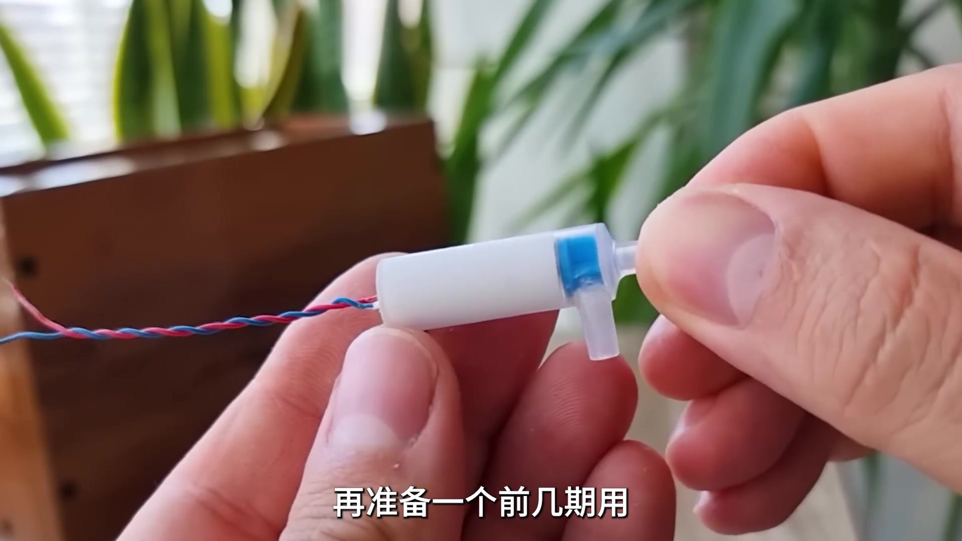 智能浇水盆栽！！！