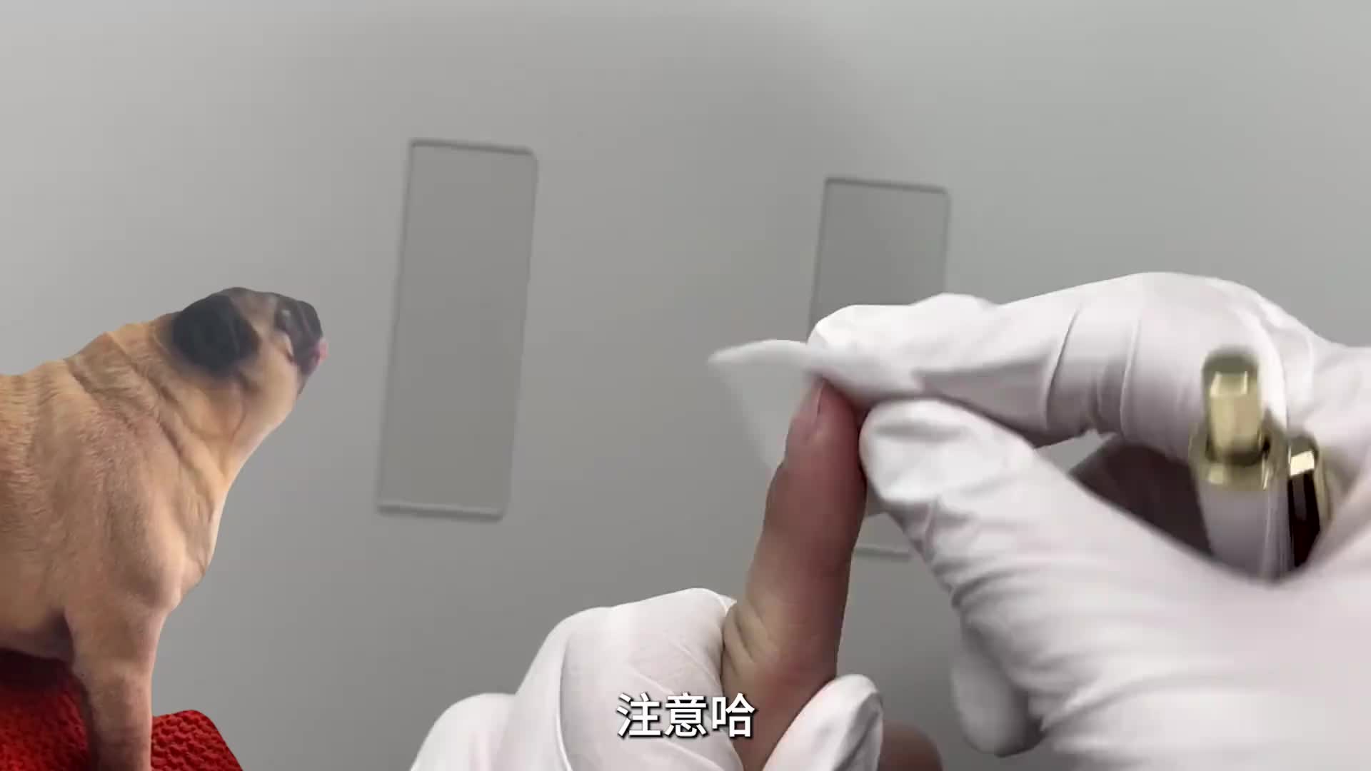 血液凝结原理！！！
