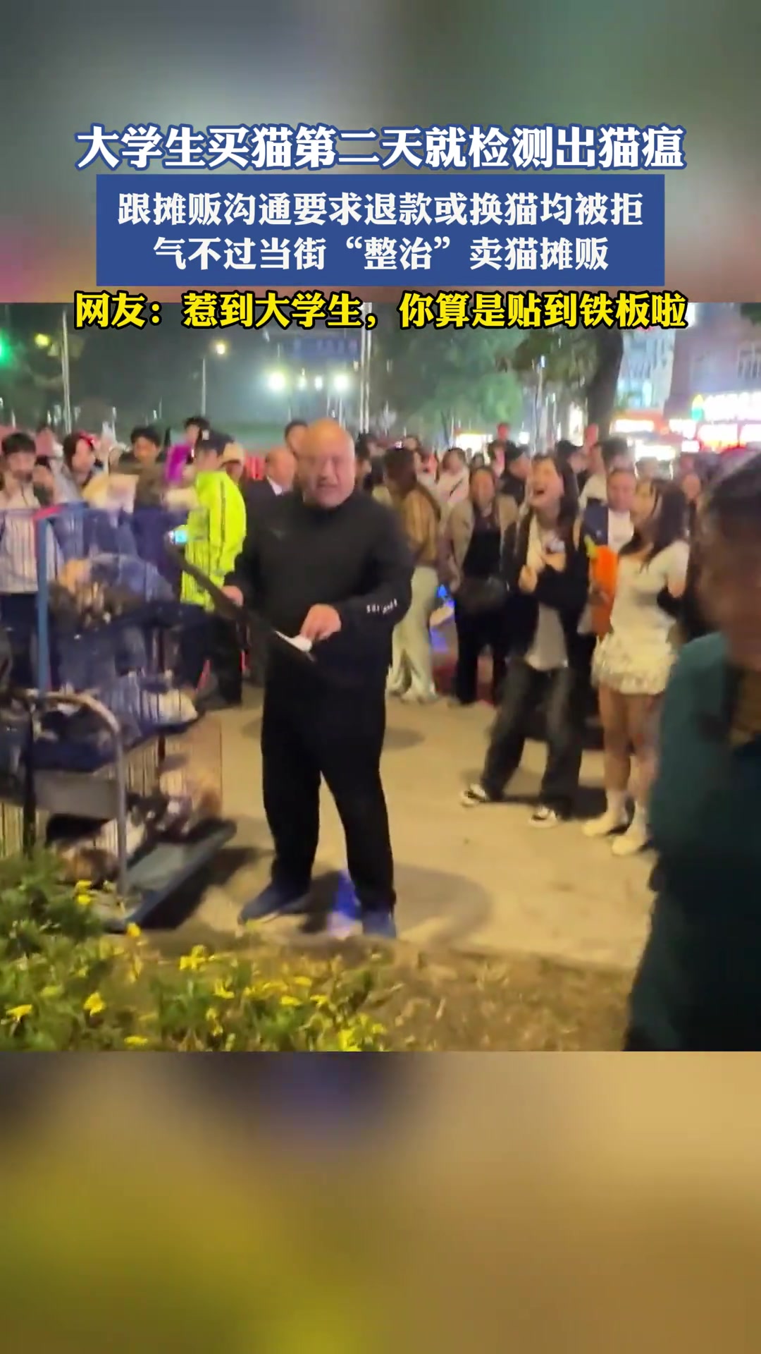 大学生买猫第二天检测出猫瘟