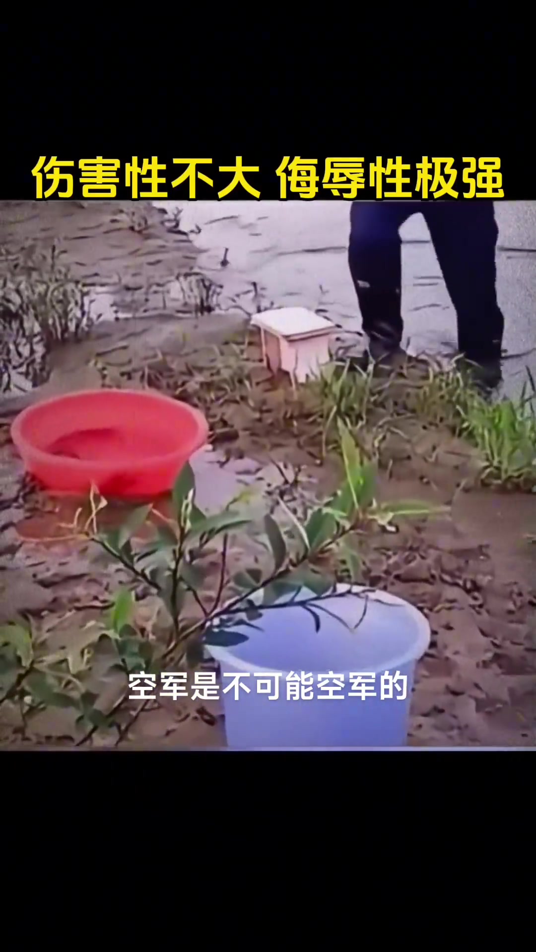 这个鱼到底是谁在钓
