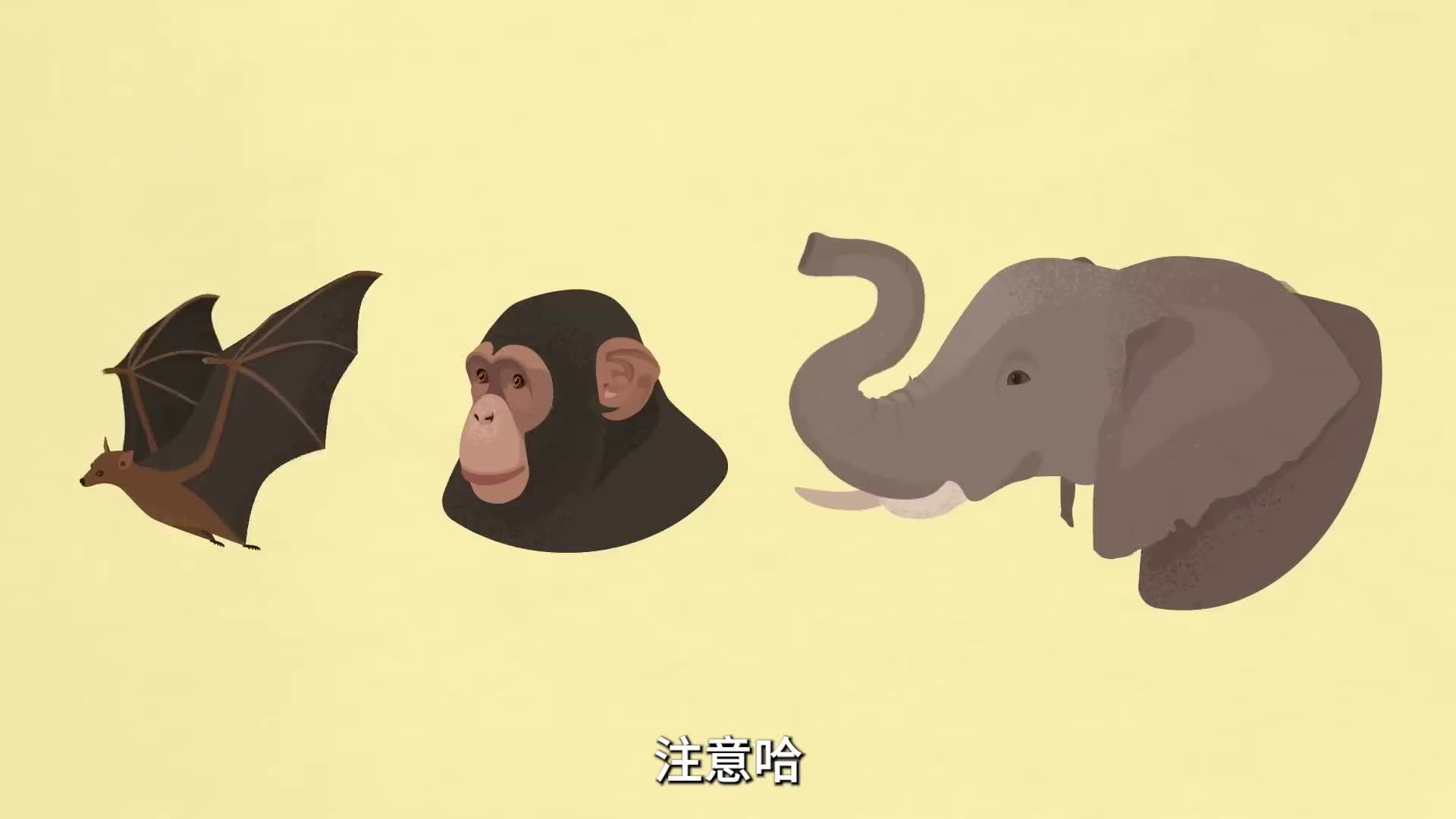 该用用棉签掏耳朵吗