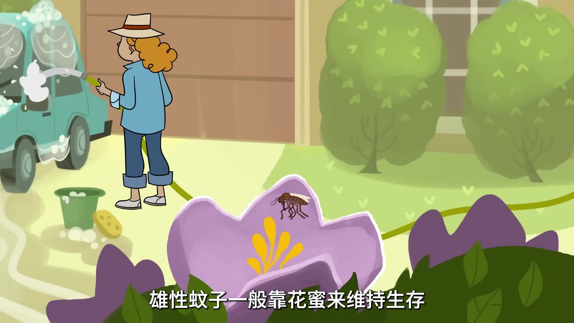 你身边有“吸蚊体质”的朋友吗