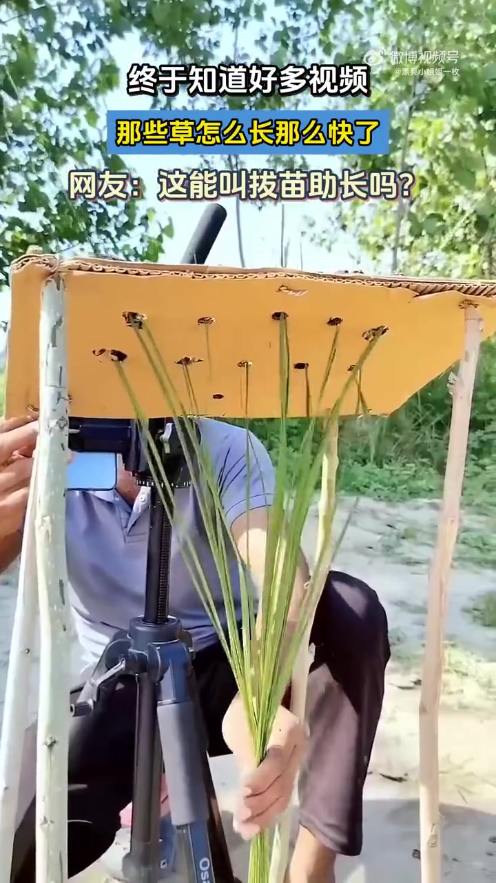 终于知道好多视频那些草怎么长那么快了