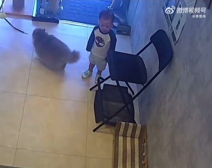 猫猫安抚哭泣的小男孩猫猫这么有同理心，我要哭死了