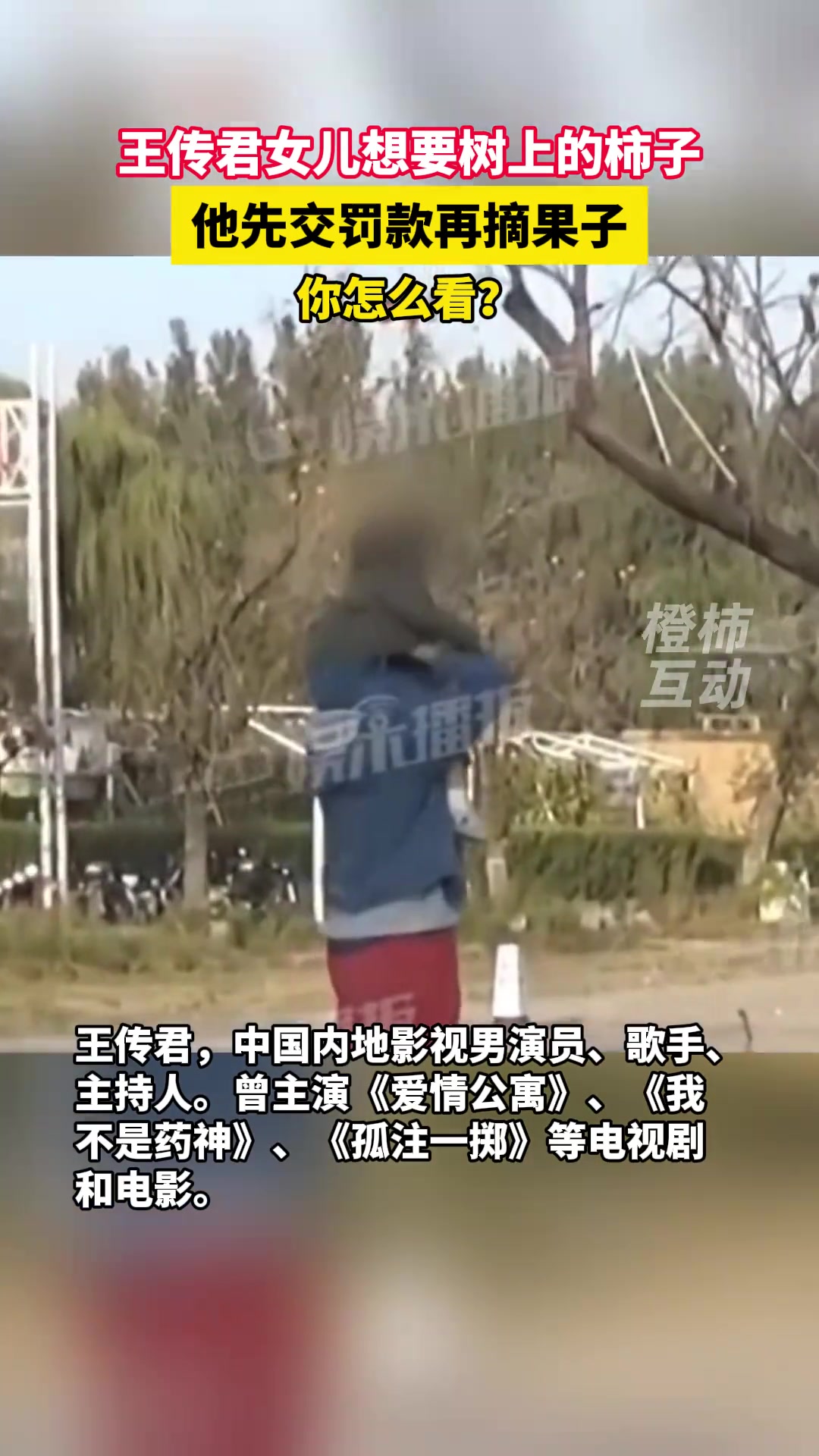 王传君女儿想要树上的柿子，他先交罚款再摘果子引发热议
