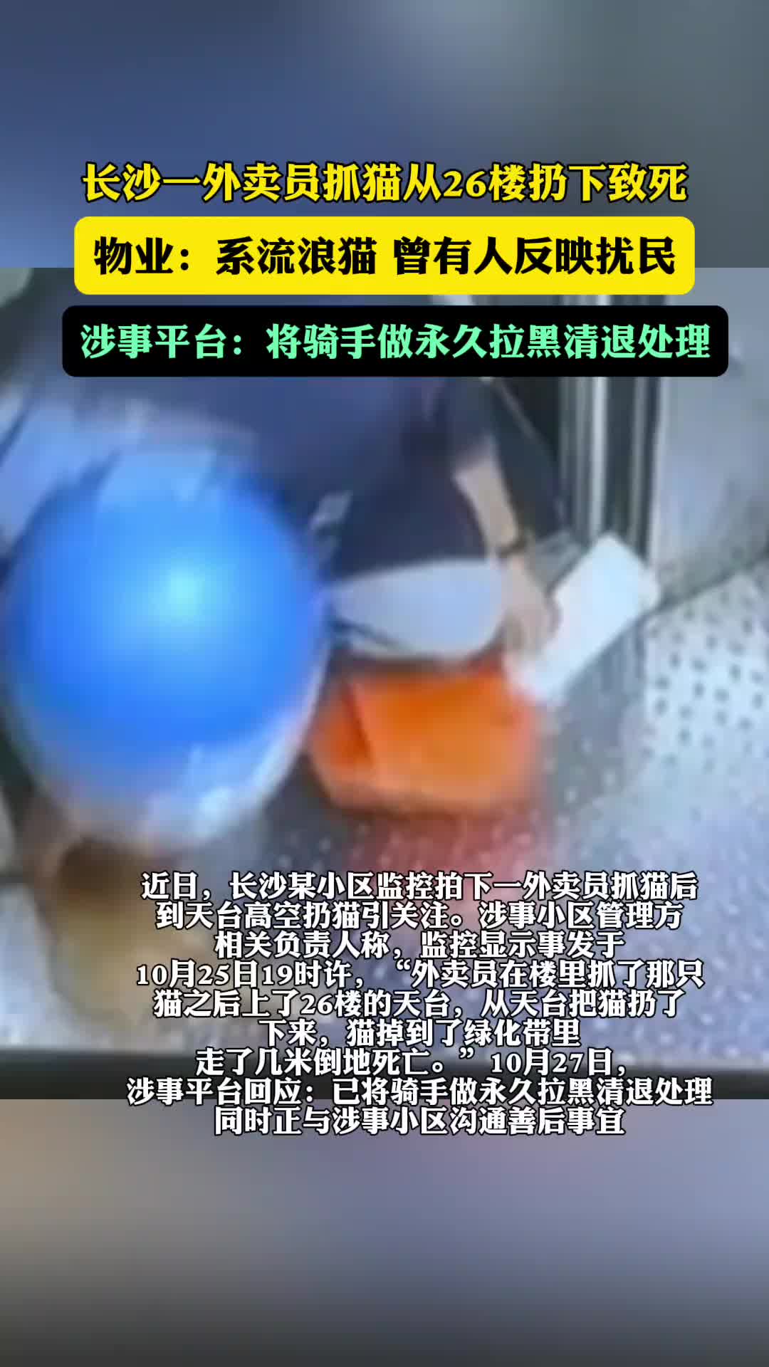 外卖员被曝送餐途中抓猫从楼顶扔下