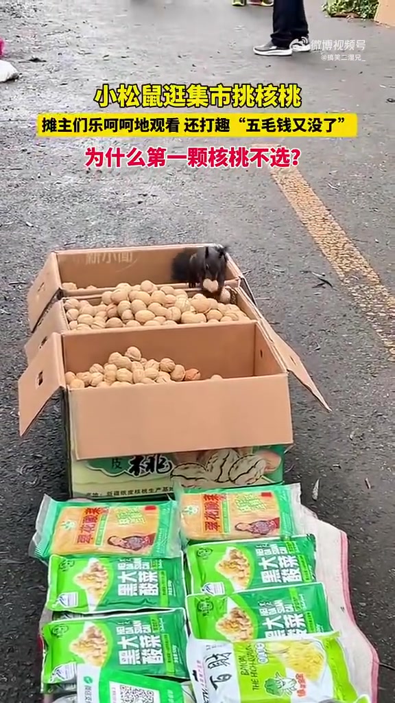 为什么第一颗核桃不选
