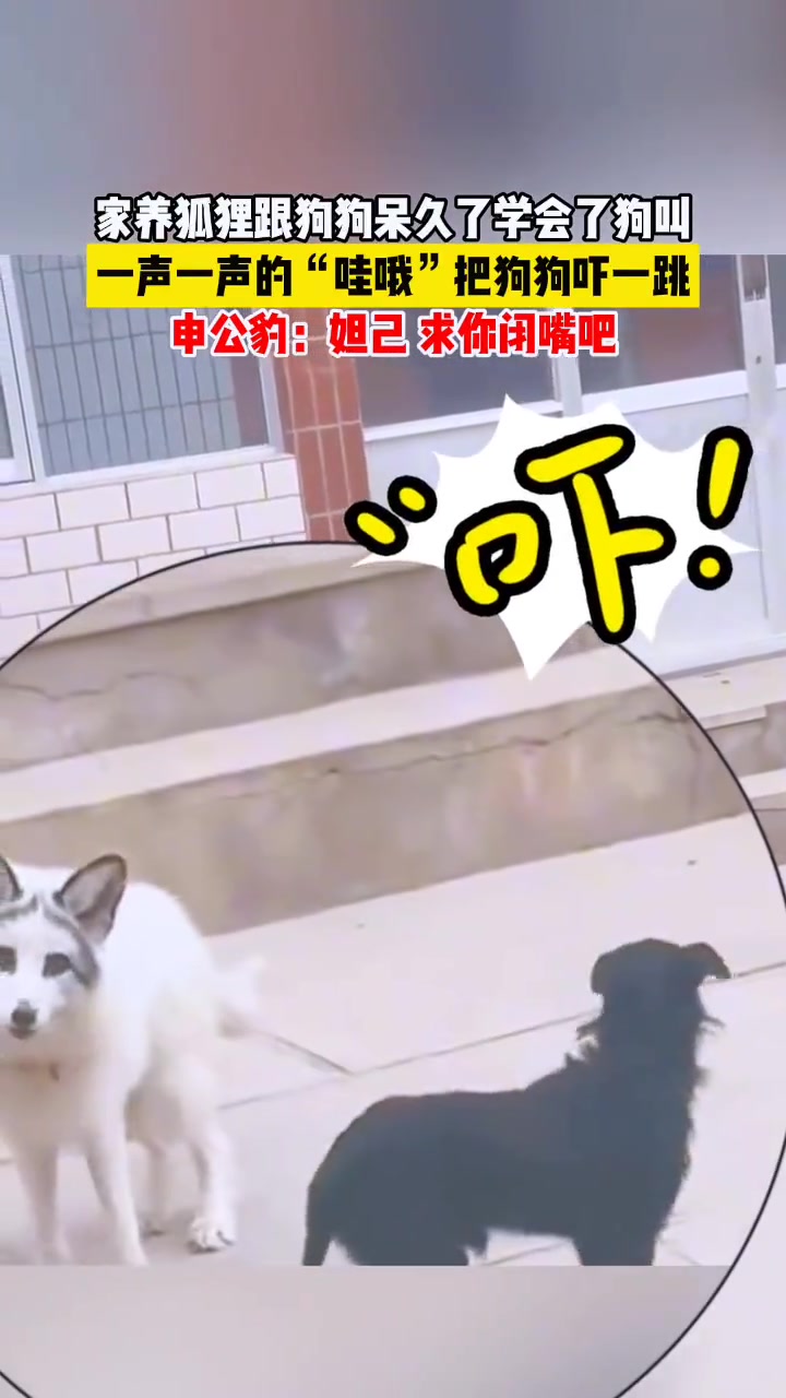 这叫声听着怪吓人的