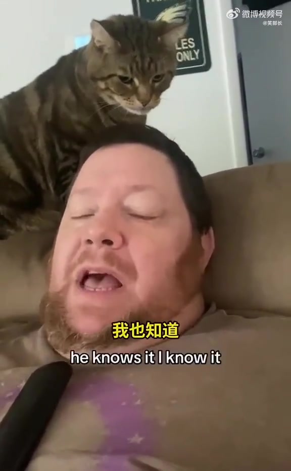 猫猫：一想到等会咬他就想笑