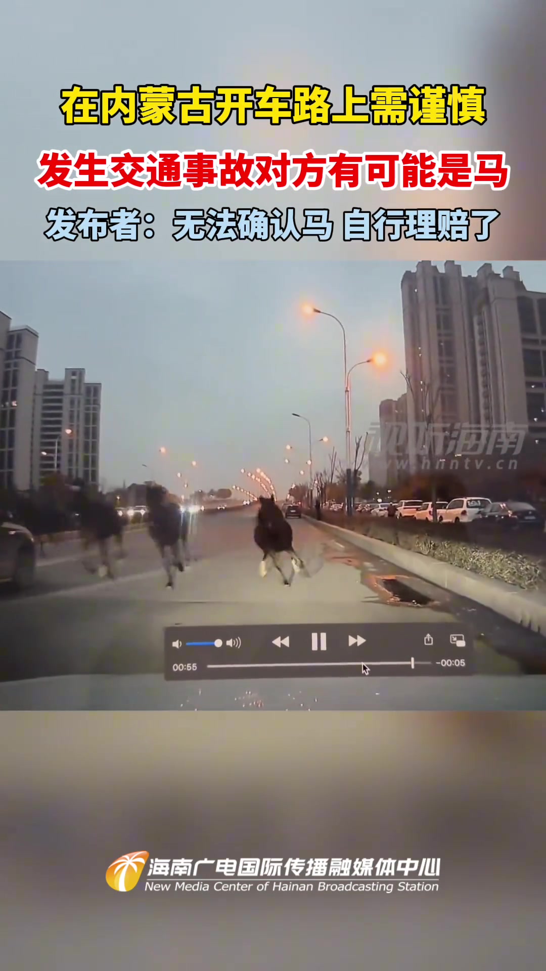 在内蒙古开车路上需谨慎发生交通事故时对方有可能是马