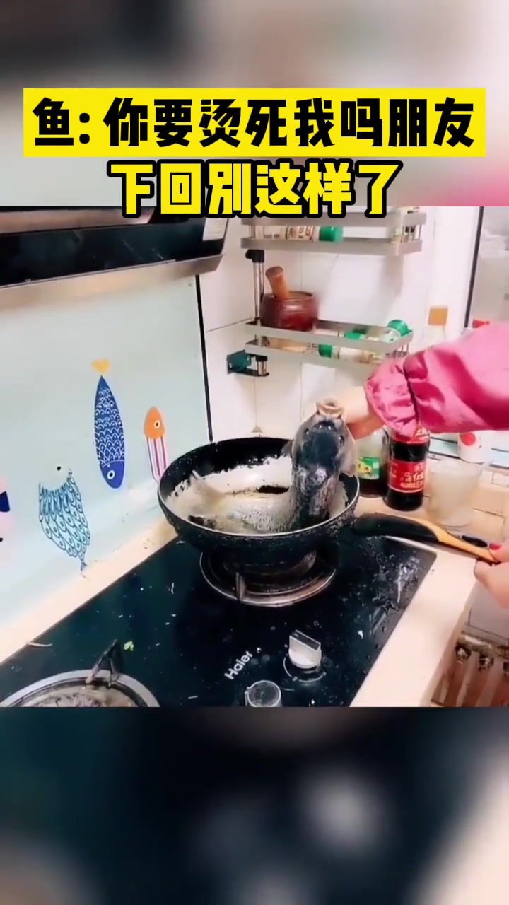 鱼：你要烫死我吗朋友下回别这样了
