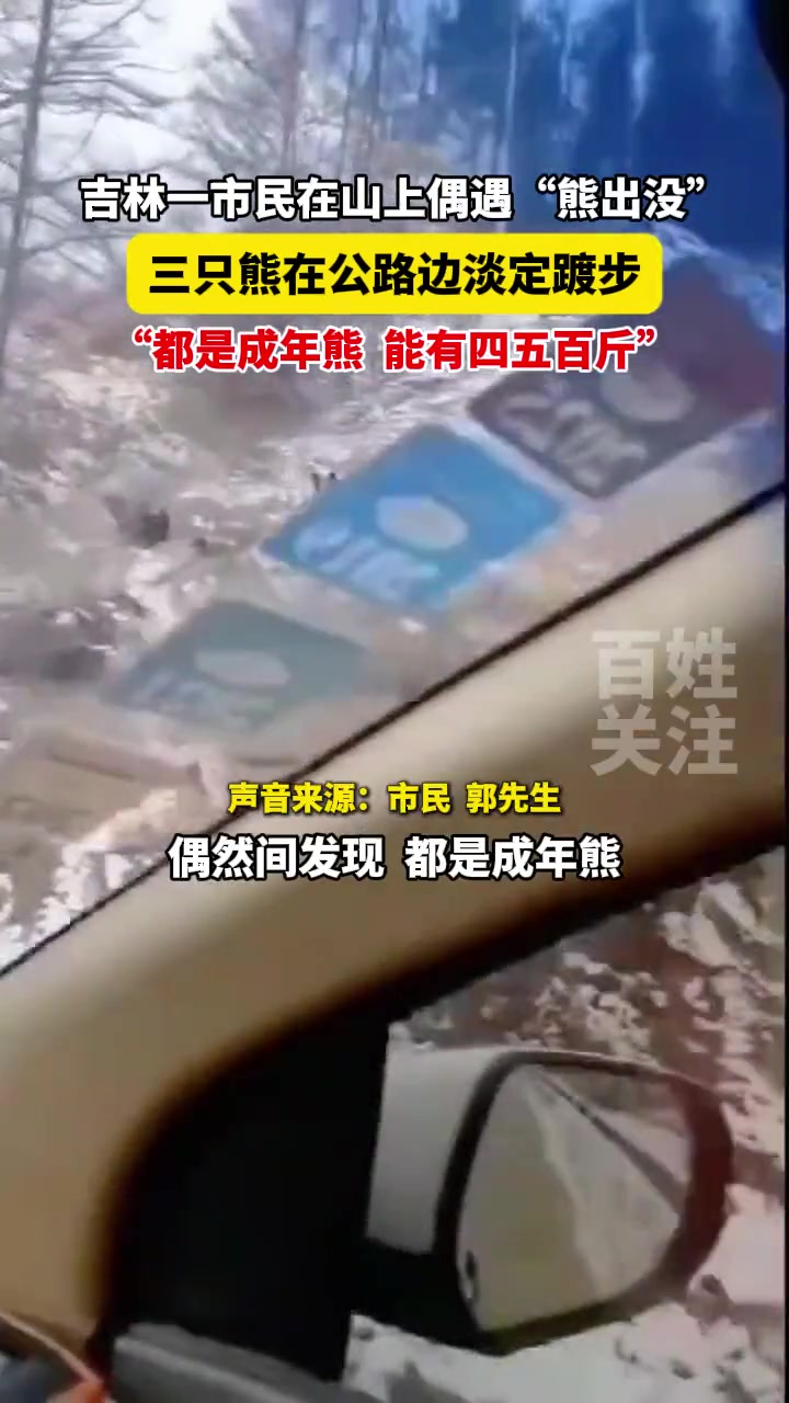 吉林一市民在山上偶遇三只熊在公路边淡定踱步
