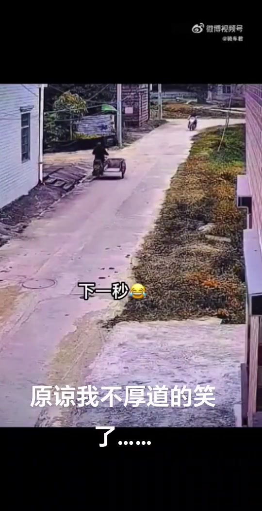 不是故意我都不信