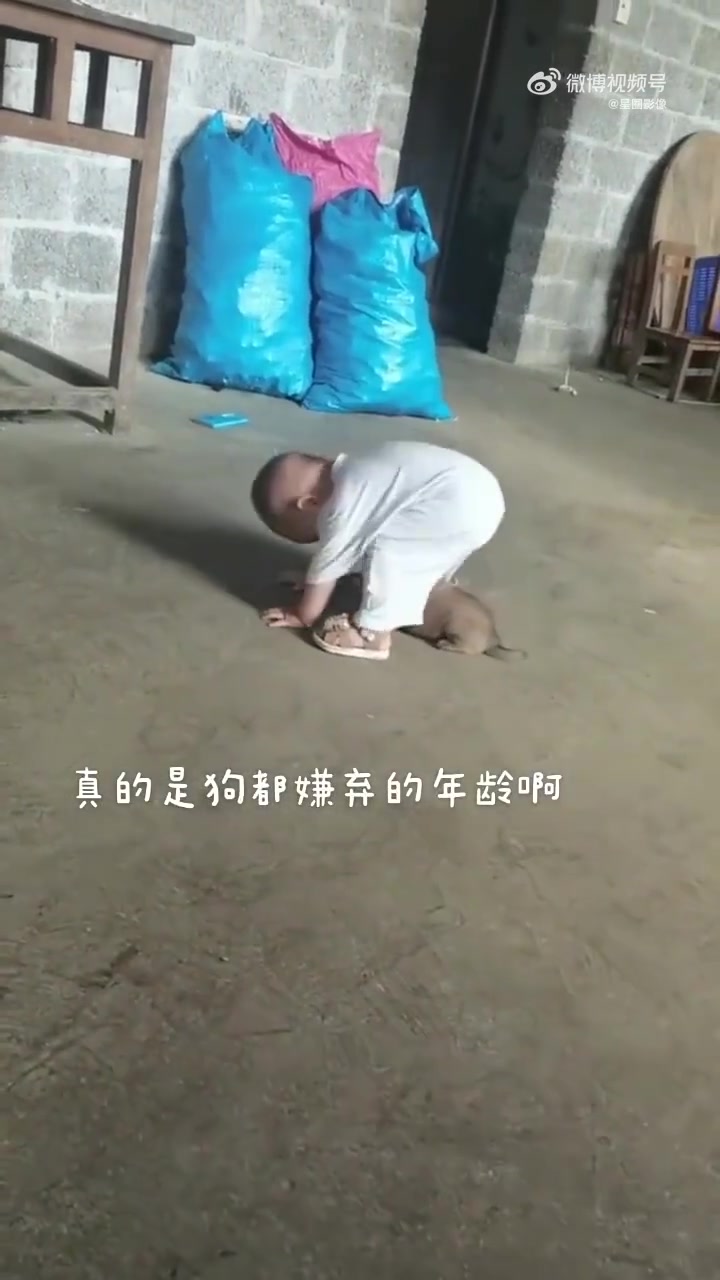 3岁以内的娃真是小狗都嫌弃的年龄啊！这要是咬一口就老实了
