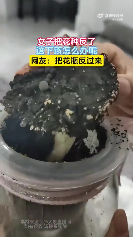 你是真的会种花，根给你种的往上走了！！