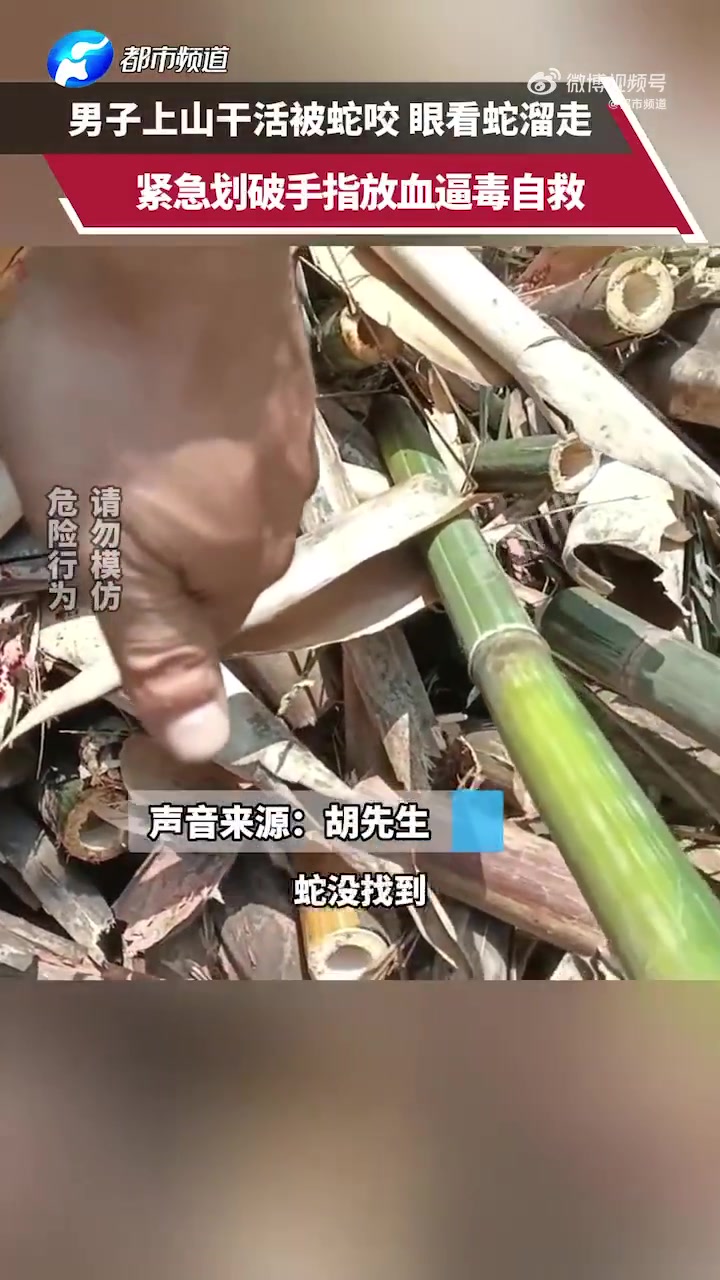 男子被蛇咬伤自行划破手指放血，兄弟你是懂怎么自救的！！