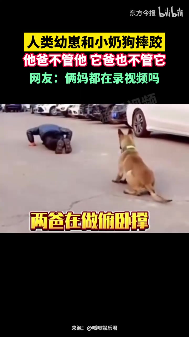 人类幼崽和小奶狗摔跤，他爸不管他它爸也不管它